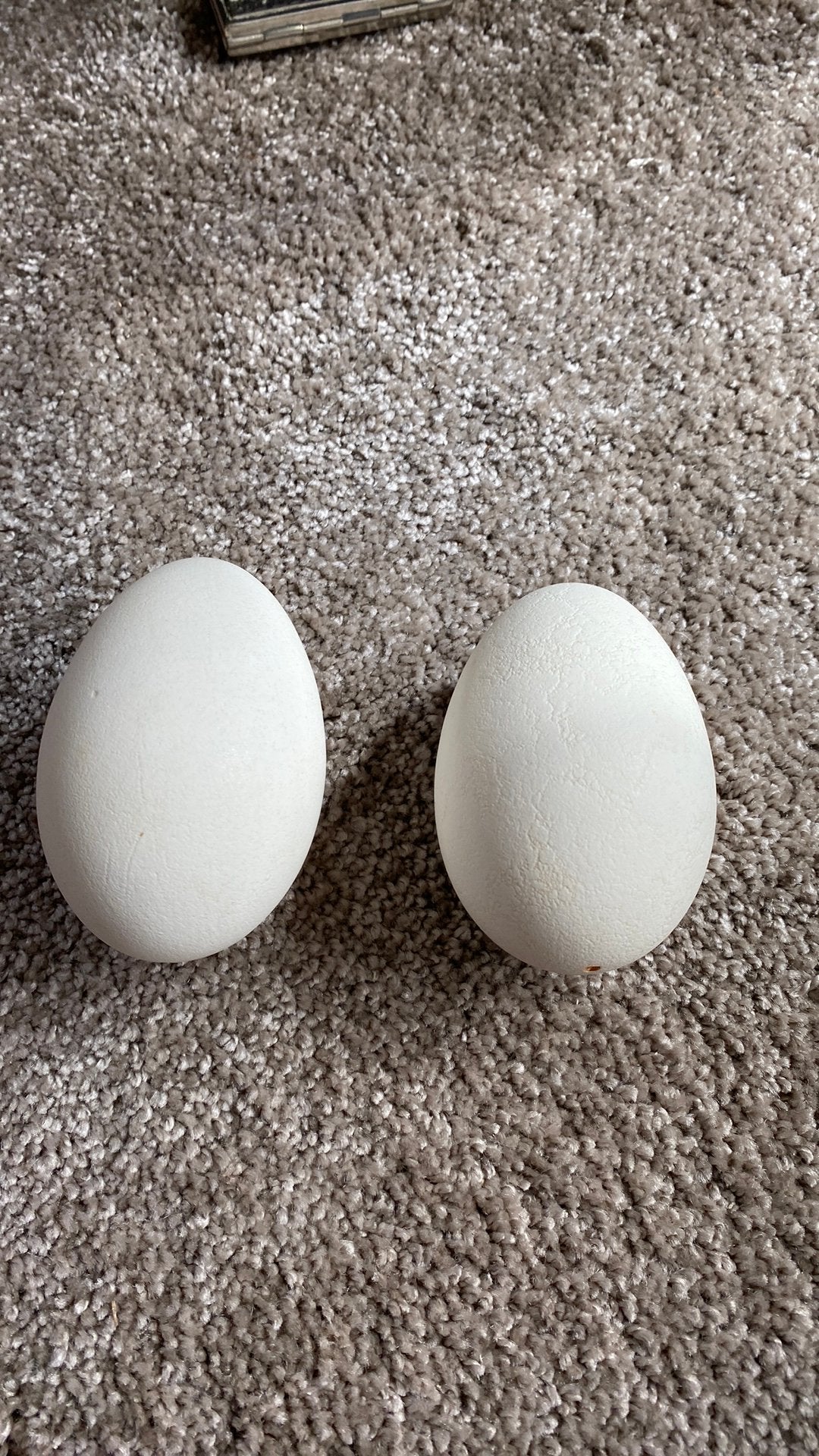 2 uitgeblazen ganzen eieren, Ophalen of Verzenden