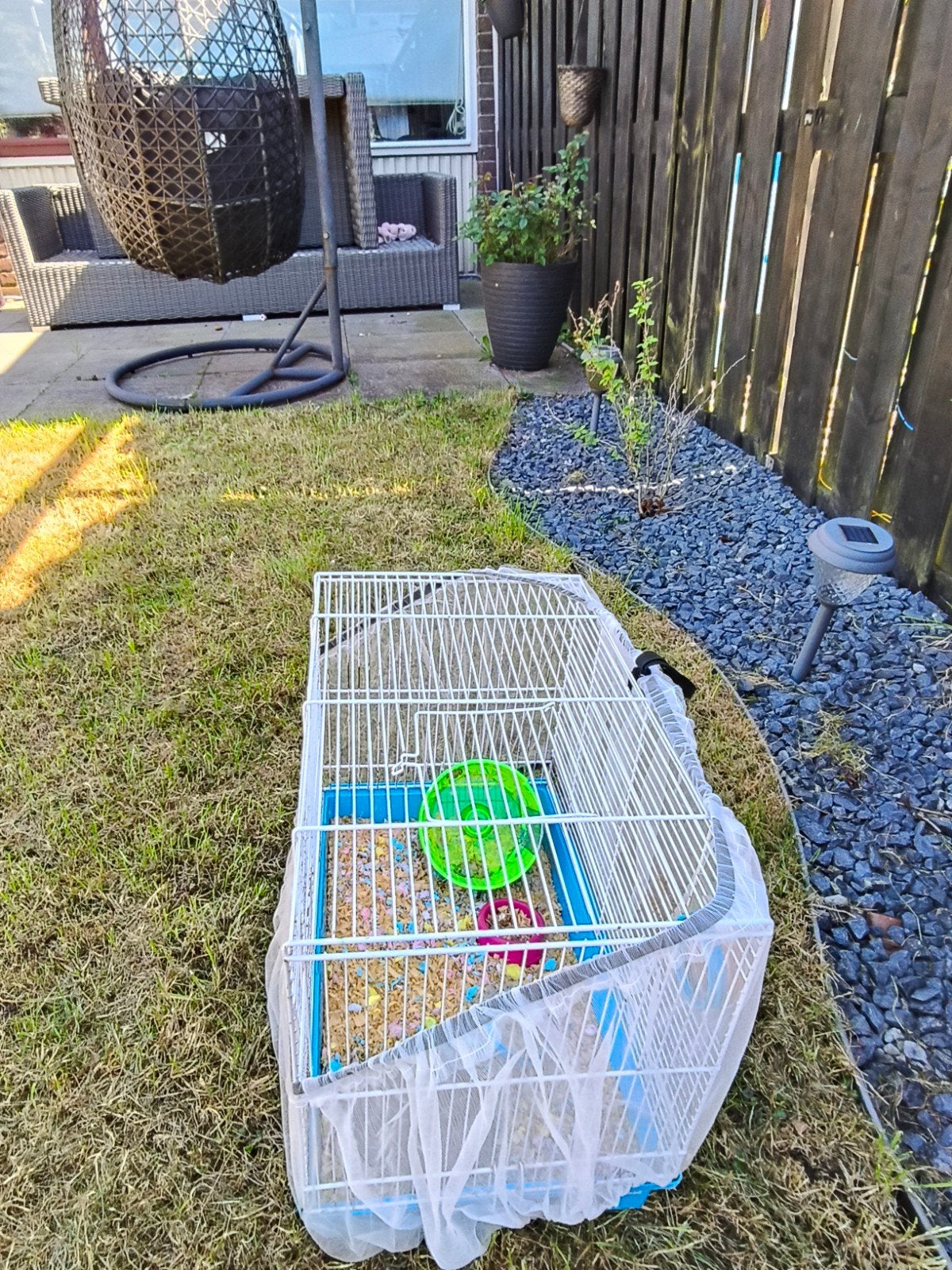 Hamsterkooi, Ophalen of Verzenden