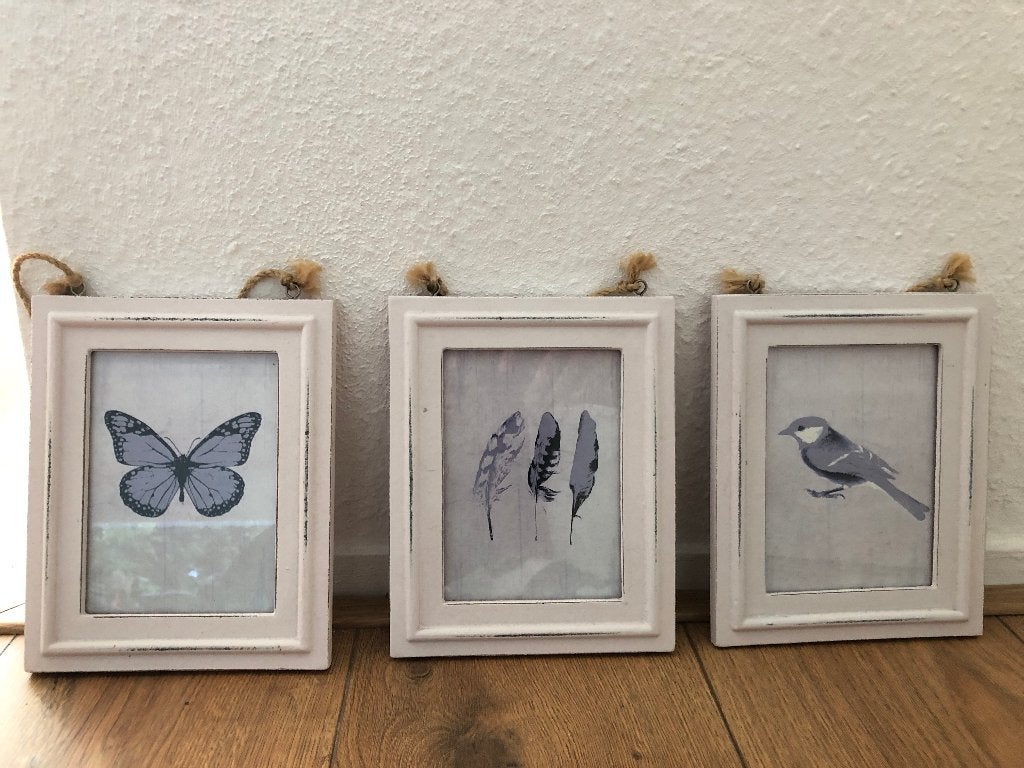 Set van 3 leuke schilderijtjes  Vlinder Vogel Veertjes, Ophalen, Dieren