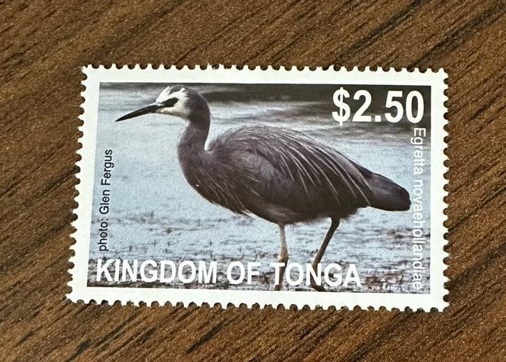 Tonga 2012 Vogels postfris - Egretta novaehollandiae, Ophalen of Verzenden, Postfris