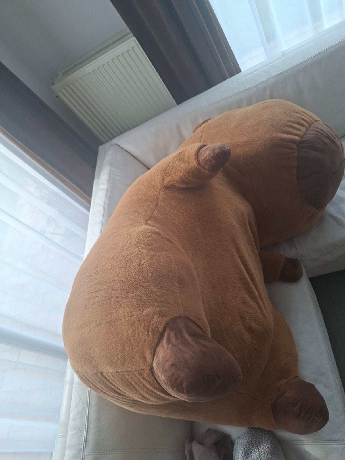 mega grootte capybara knuffel met schildpad rugzak, Ophalen, Overige merken, Overige karakters, Overige typen