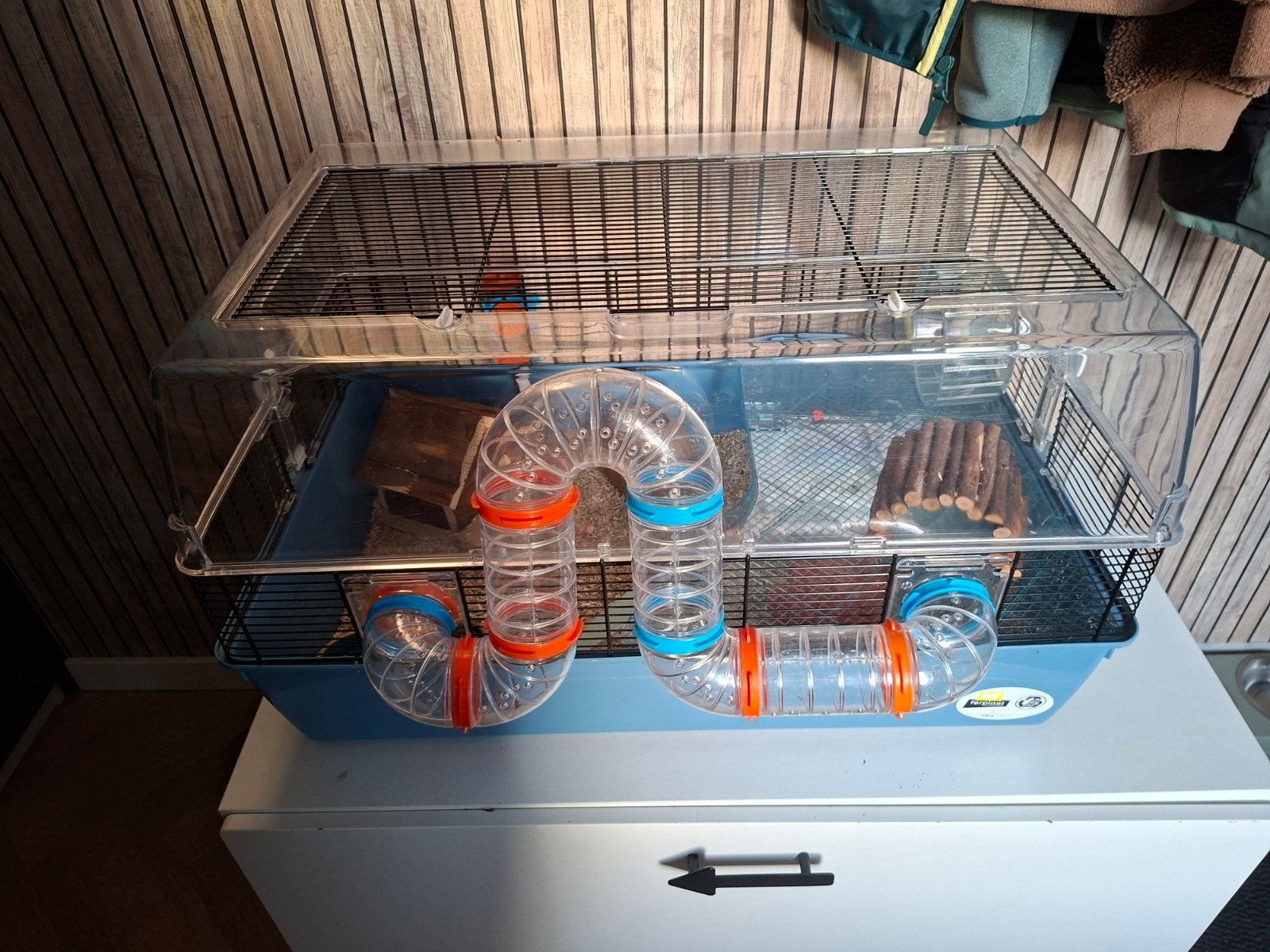 Ter overname tamme hamster., Hamster, Mannelijk, Januari, Tam