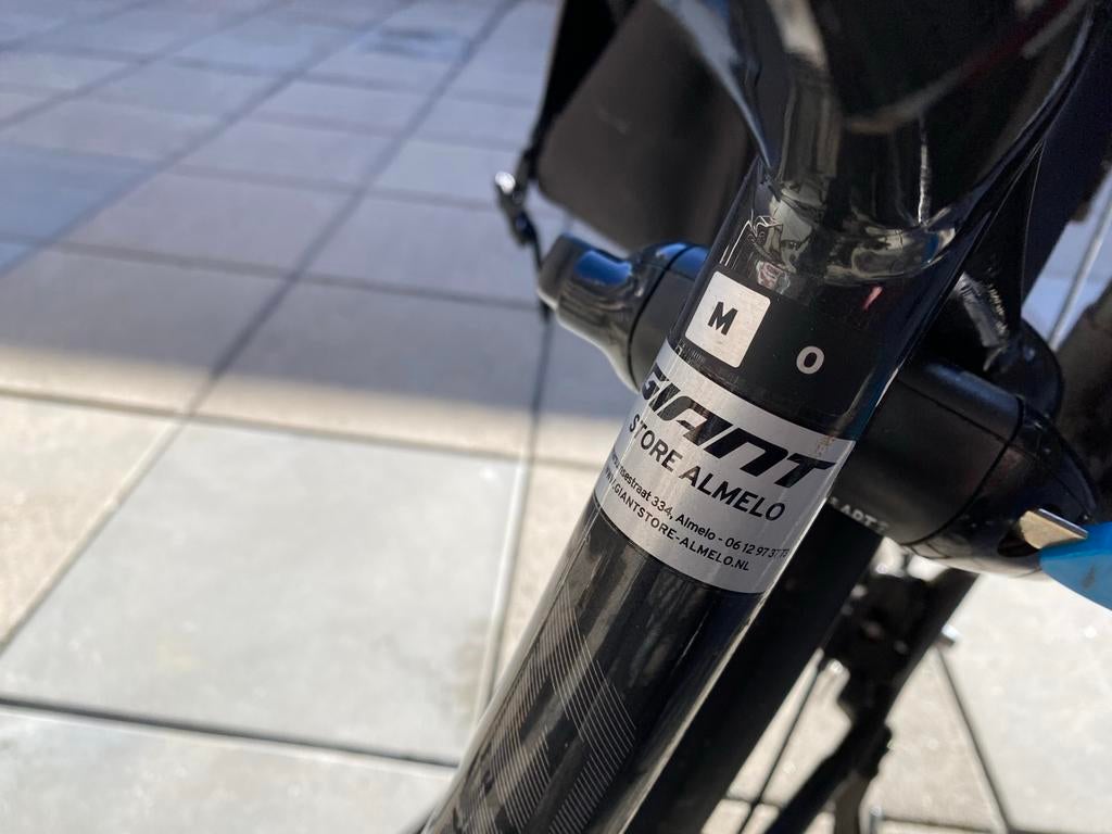 Giant Entour elektrische herenfiets, Fietsen en Brommers, Elektrische fietsen, Gebruikt, Giant, 51 tot 55 cm, Ophalen