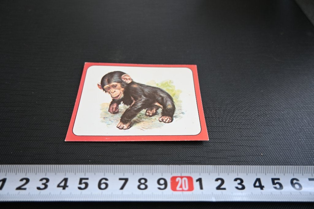 sticker panini baby zoo #4 strip chimpansee, Verzamelen, Ophalen, Zo goed als nieuw