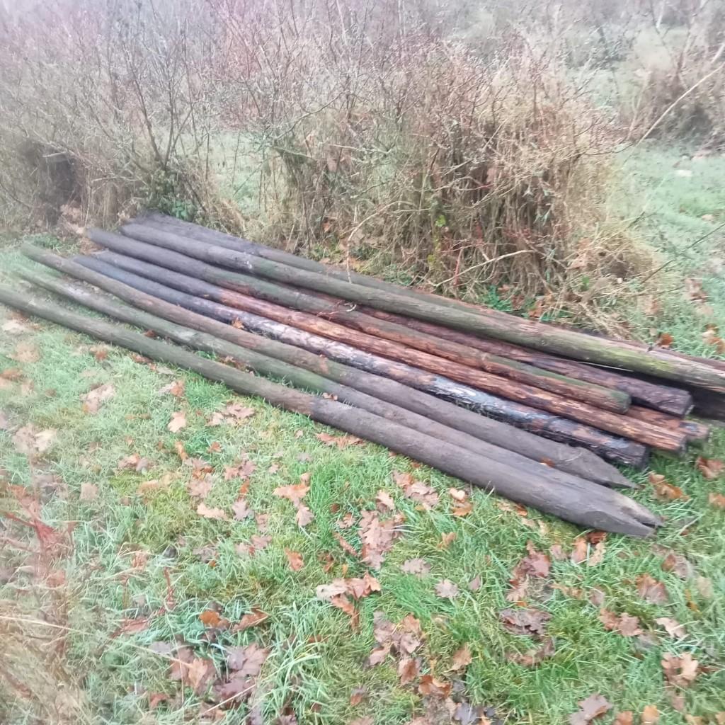 Stekpalen gecreodiseerde, Ophalen, Hout, Minder dan 3 meter
