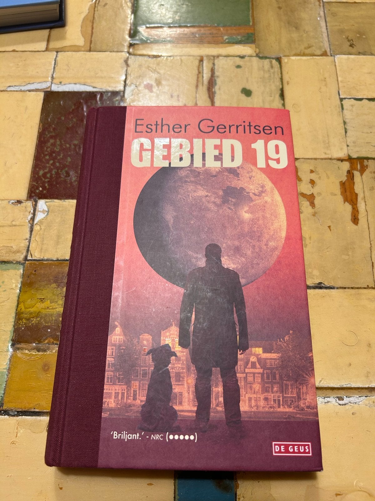Gebied 19 - Esther Gerritsen (Zo goed als nieuw), Boeken, Ophalen, Zo goed als nieuw