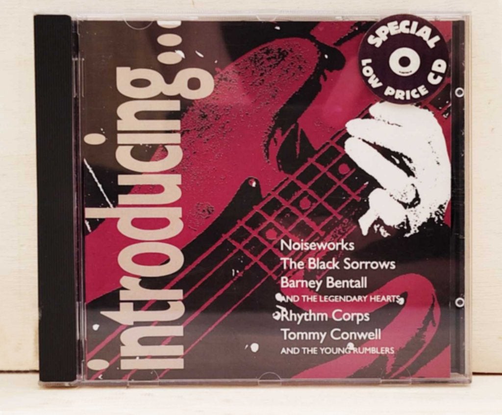 Various – Introducing– originele CD echt voor verzamelaars, Ophalen of Verzenden, Zo goed als nieuw, Poprock, Album