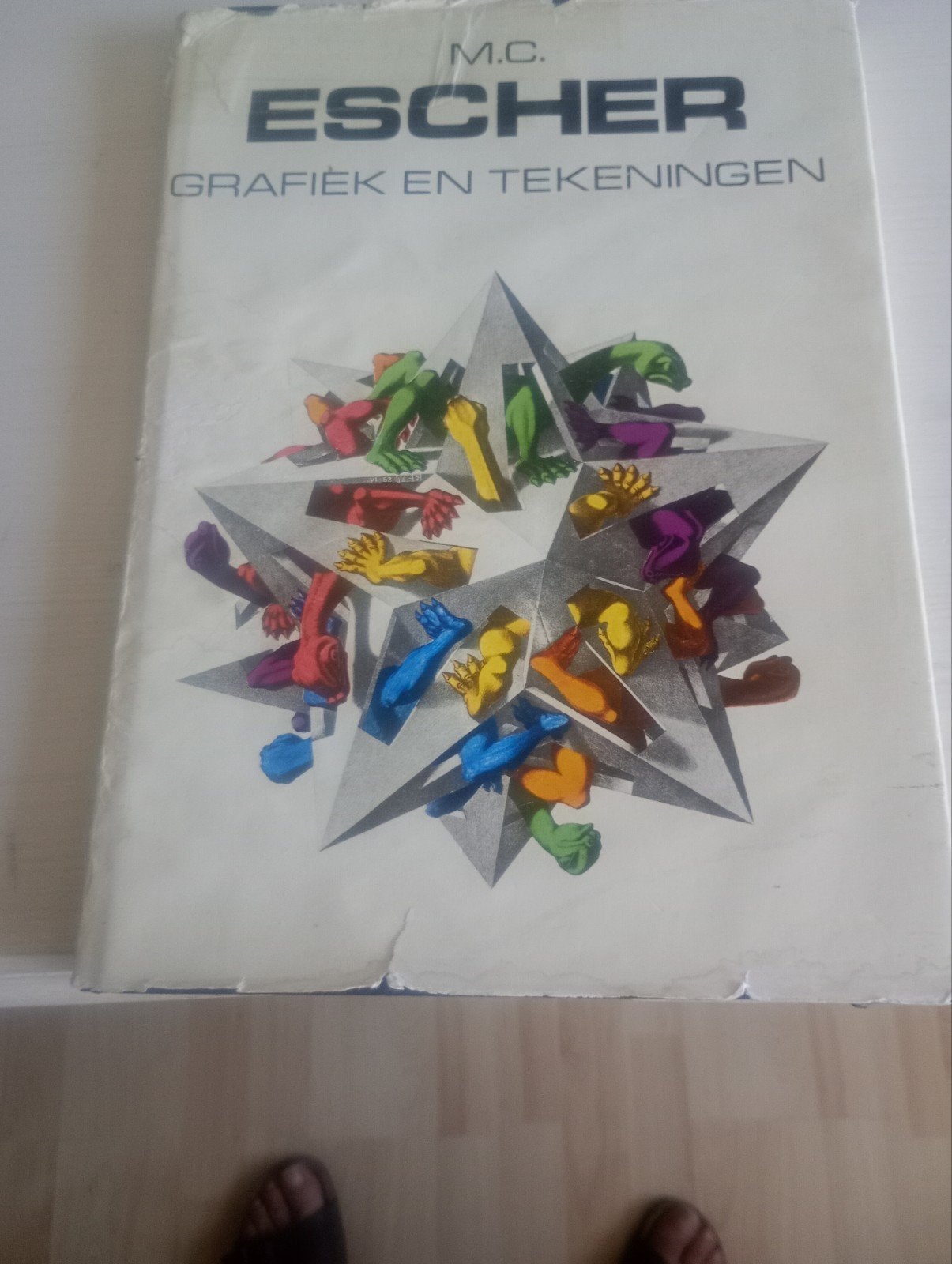 M C Escher Grafiek en Tekeningen, Ophalen of Verzenden, Gelezen