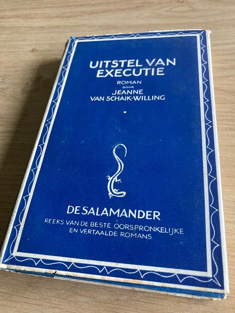 Boek Jeanne van Schaik-Willing, Ophalen of Verzenden, Gelezen