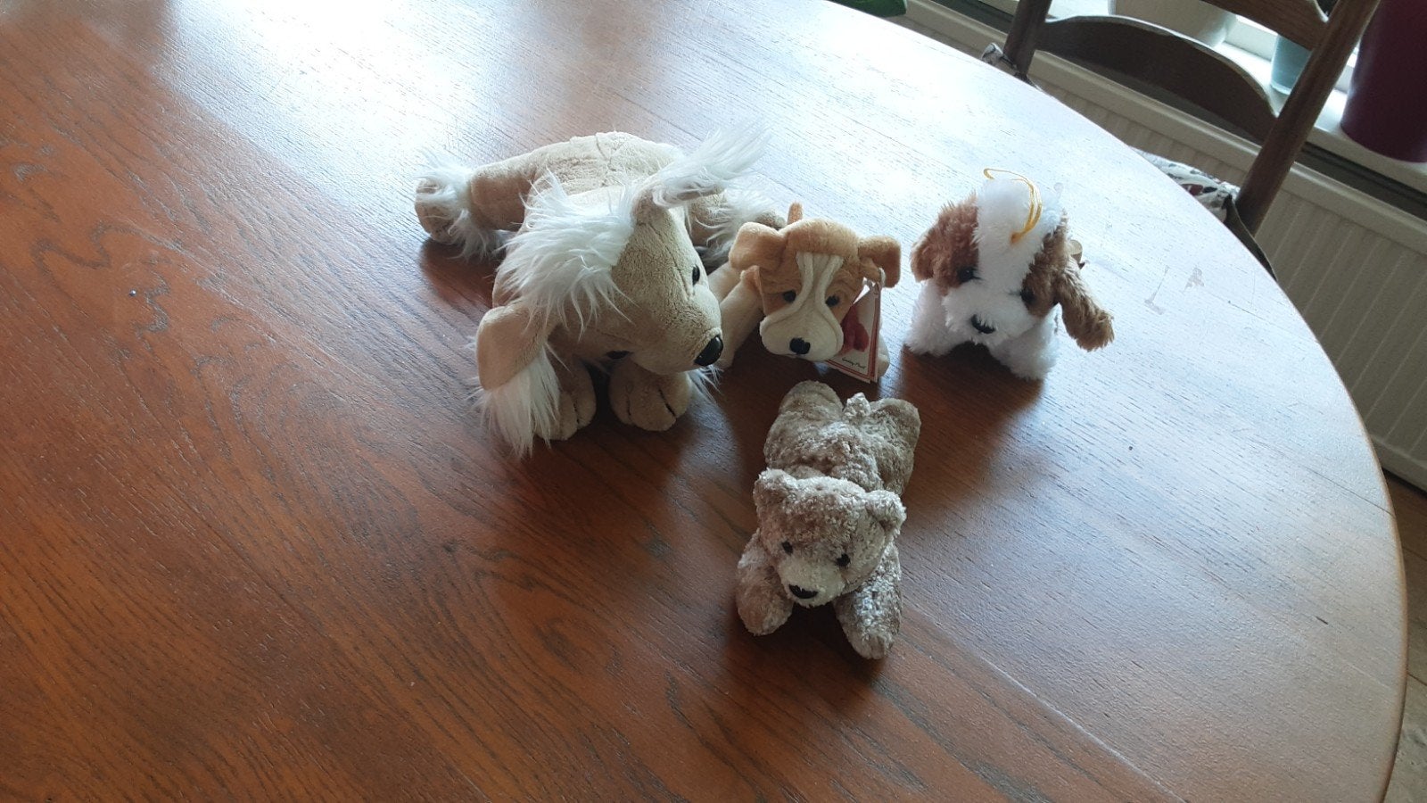 4 verschillende knuffels - honden en beer, Gebruikt, Klein (minder dan 20 cm), Bruin, Hond