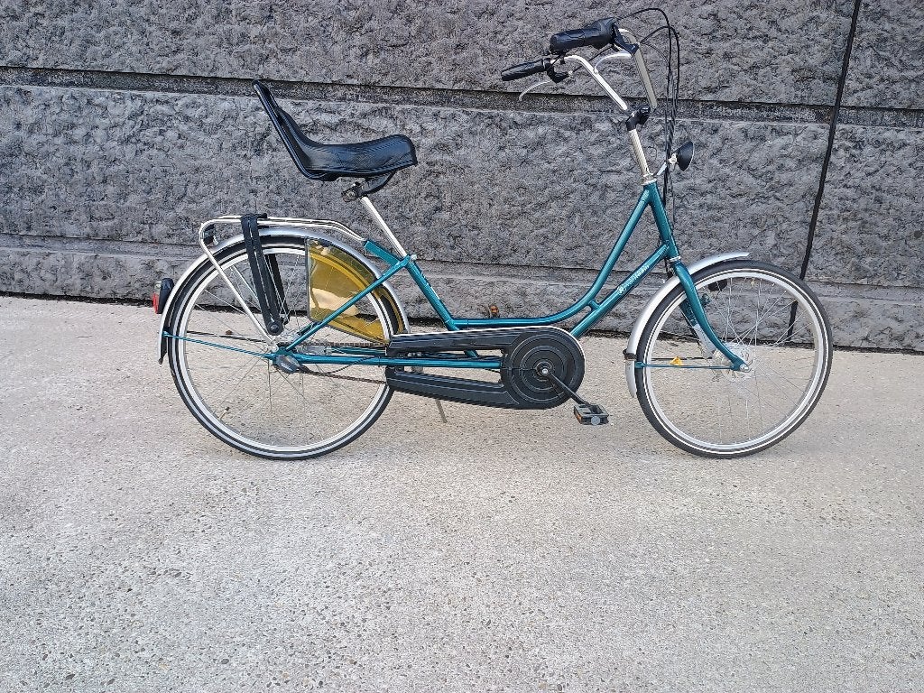 Van Raam Fiets, Fietsen en Brommers, Ophalen, Gebruikt, Velgrem, Van Raam
