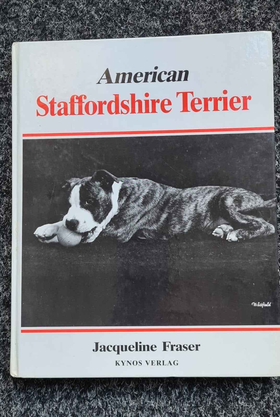 american staffordshire terrier, Ophalen of Verzenden, Honden