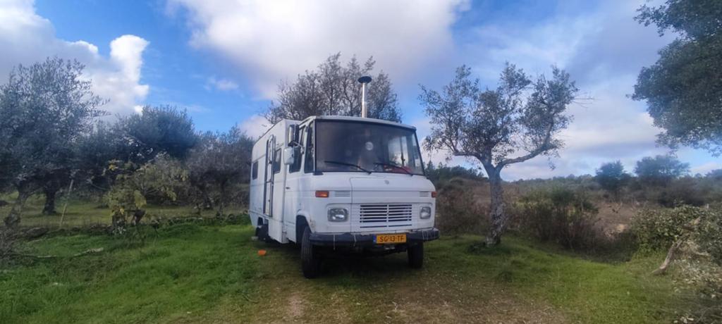 Mercedes 508 camper wegenbelastingvrij, Caravans en Kamperen, Campers, Particulier, Buscamper of Camperbus, Mercedes-Benz