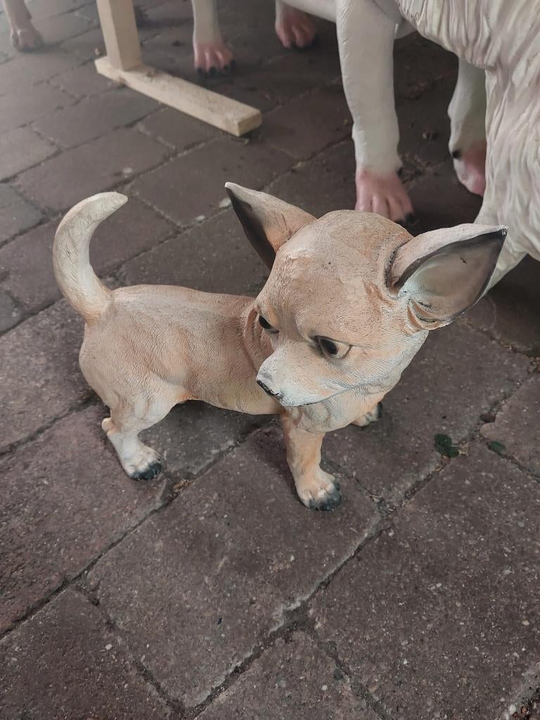 decoratief honden beeld chihuahua, Verzamelen, Ophalen of Verzenden, Zo goed als nieuw, Dier