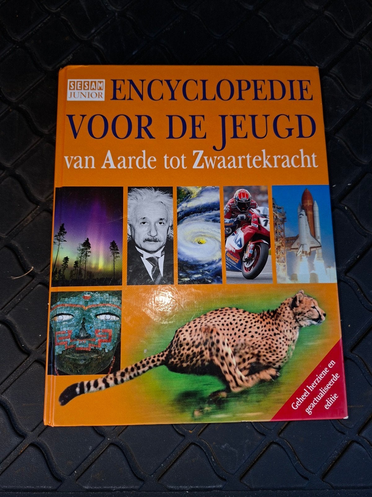 Sesam Junior Encyclopedie: Van Aarde tot Zwaartekracht, Boeken, Encyclopedieën, Ophalen of Verzenden, Zo goed als nieuw, Algemeen
