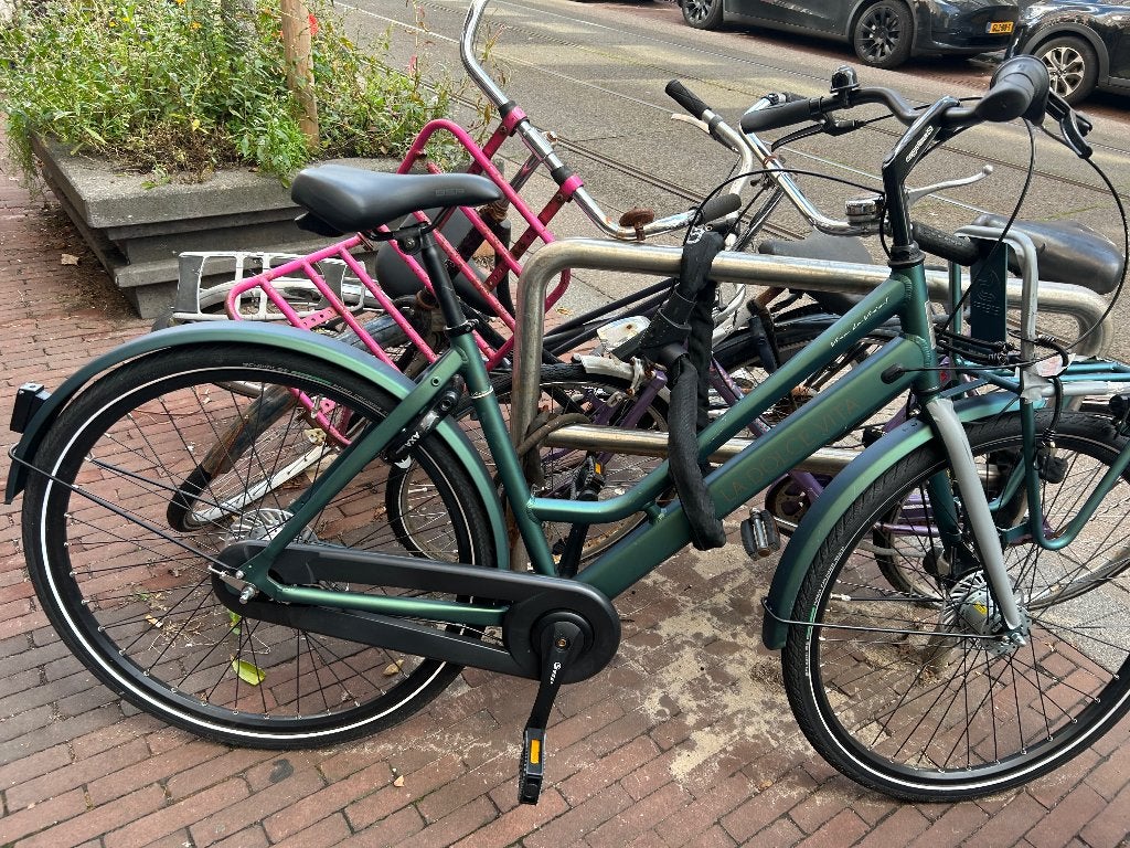 Fiets (nieuw), Fietsen en Brommers, Terugtraprem, (Extra) lage instap, Nieuw, 50 tot 53 cm