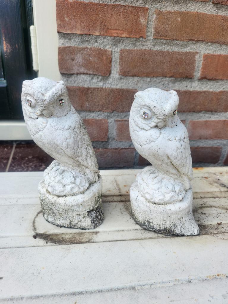 2 uiltjes, Ophalen of Verzenden