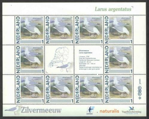 Vogels in Nederland Vel Zilvermeeuw, Ophalen of Verzenden, Postfris