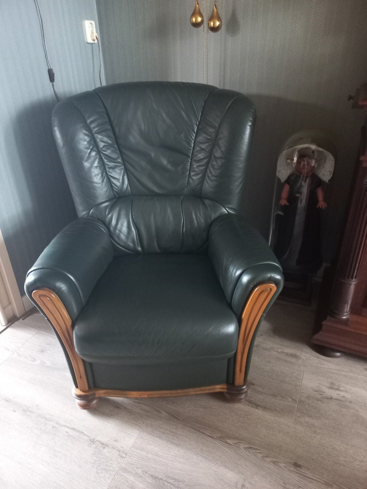 Gratis leren groene stoel, Ophalen, 75 tot 100 cm, 50 tot 75 cm
