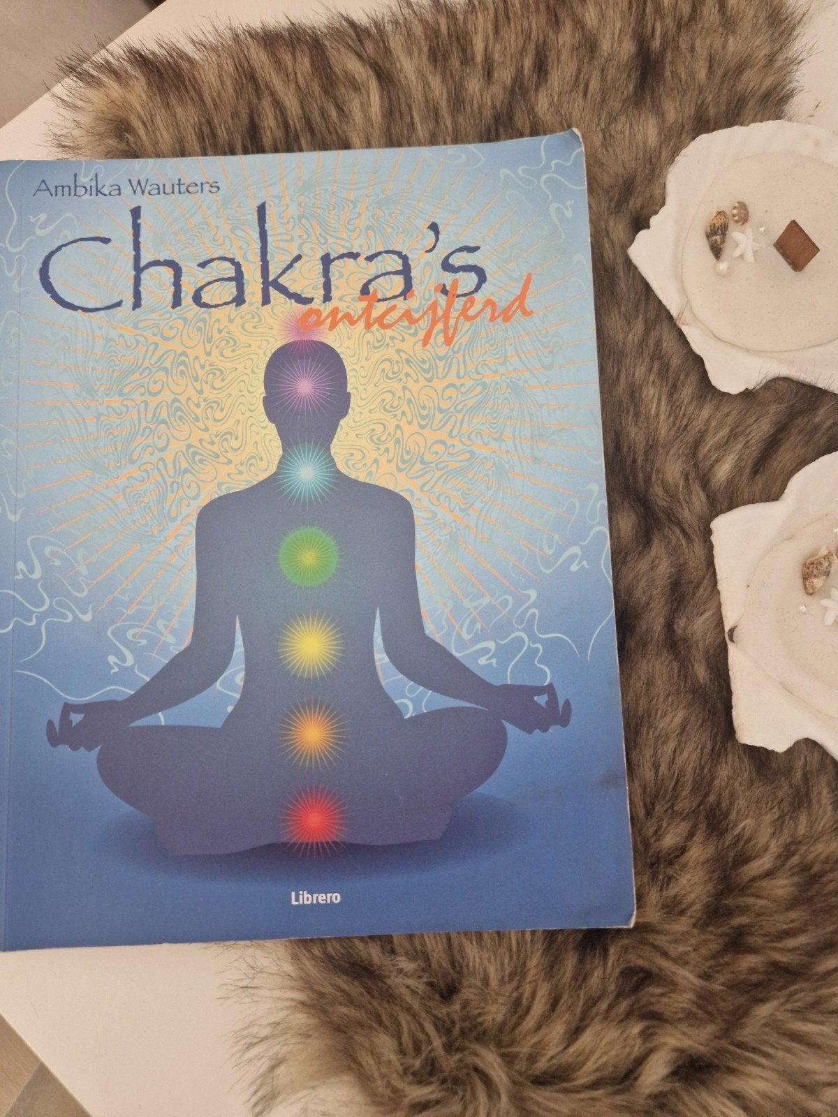 Chakra's Ontcijferd: Gids voor Chakrahealing en Balans, Spiritualiteit algemeen, Ambika Wauters, Ophalen of Verzenden, Zo goed als nieuw