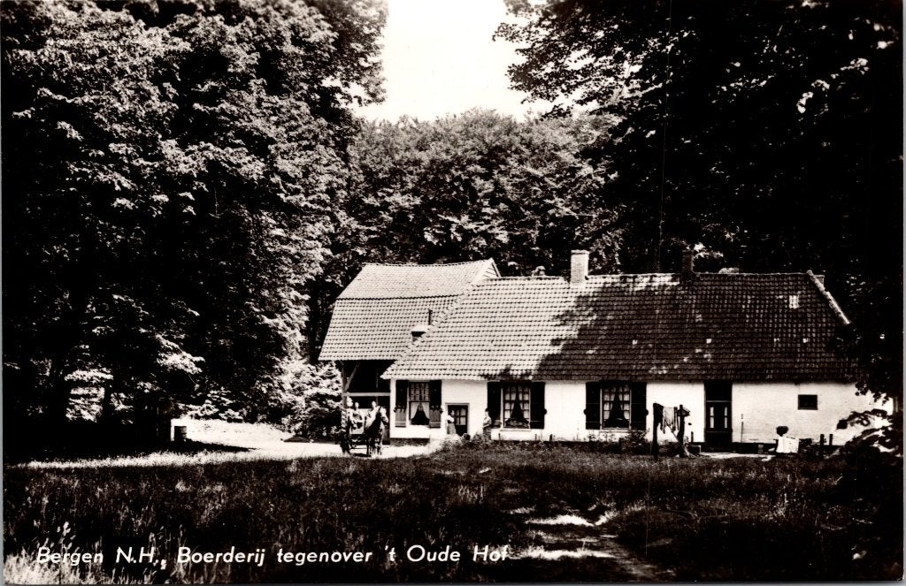 Bergen z/w - 12  ansichtkaarten, Verzenden, 1960 tot 1980, Gelopen, Noord-Holland