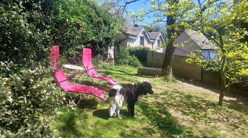 Romantische cottage Durbuy houtkachel heerlijke tuin hond=ok, Open haard, 1 slaapkamer, Ardennen of Luxemburg, Landelijk