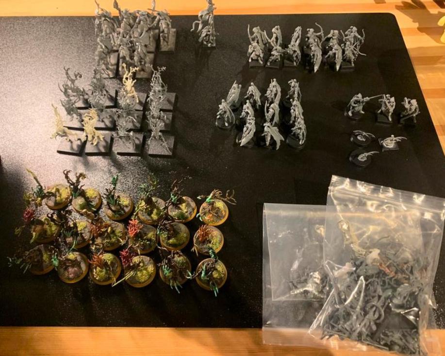 Warhammer Old World - Wood Elf leger, Ophalen of Verzenden