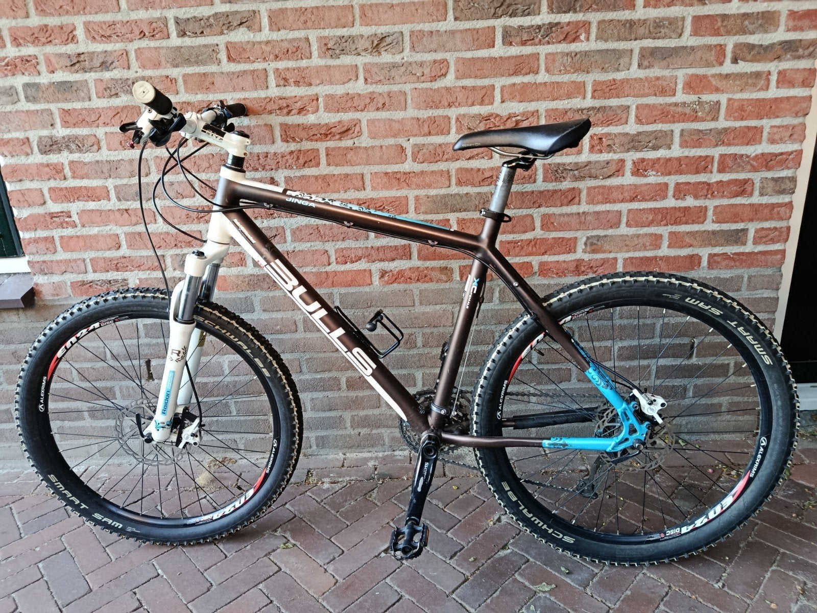 BULLS Dames Mountainbike Jinga XC Female 26 inch, Fietsen en Brommers, Fietsen | Mountainbikes en ATB, Gebruikt, Hardtail, 49 tot 53 cm