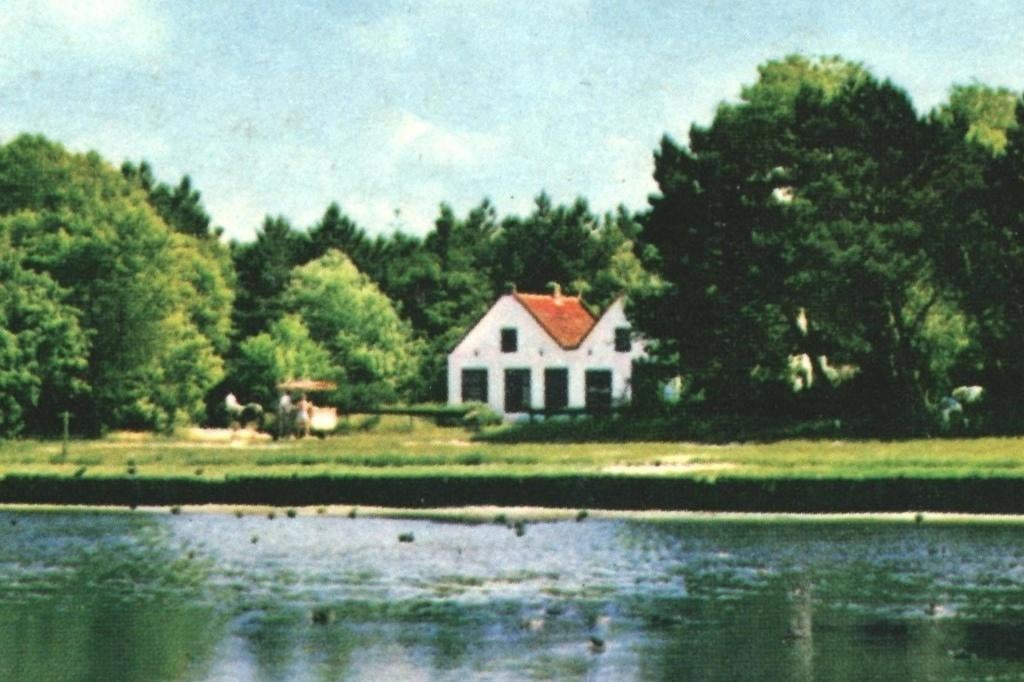992113 Terschelling 1973 Duinmeertje Dodemanskisten Gelopen, Ophalen of Verzenden, 1960 tot 1980, Gelopen, Waddeneilanden