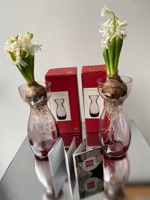 Holmegaard, 2 hyacintvazen kleur lila/purple., Overige kleuren, Nieuw, Ophalen of Verzenden, Glas