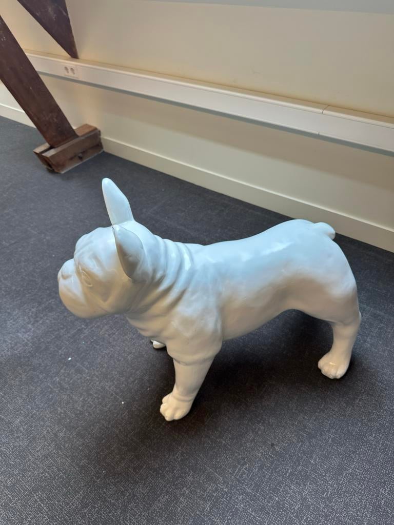 Leuk wit dierenbeeld - Franse Bulldog, Ophalen