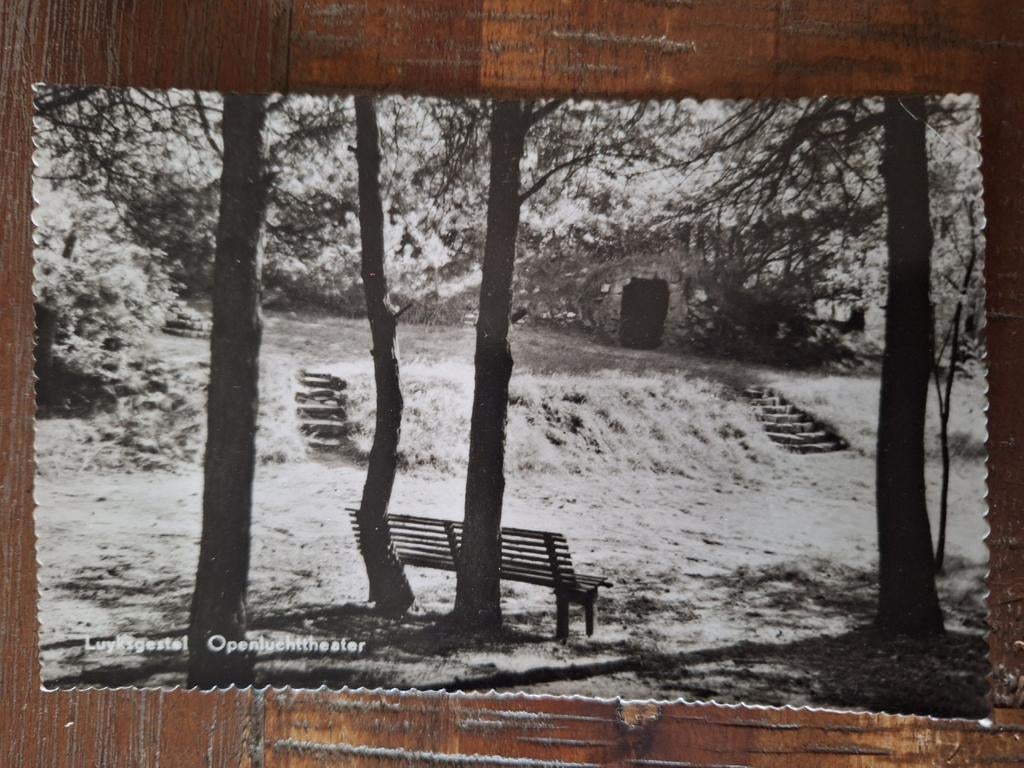 Fotokaart Luyksgestel - Vacantiecentrum "De Zwarte Bergen", Ophalen of Verzenden, Ongelopen, Noord-Holland
