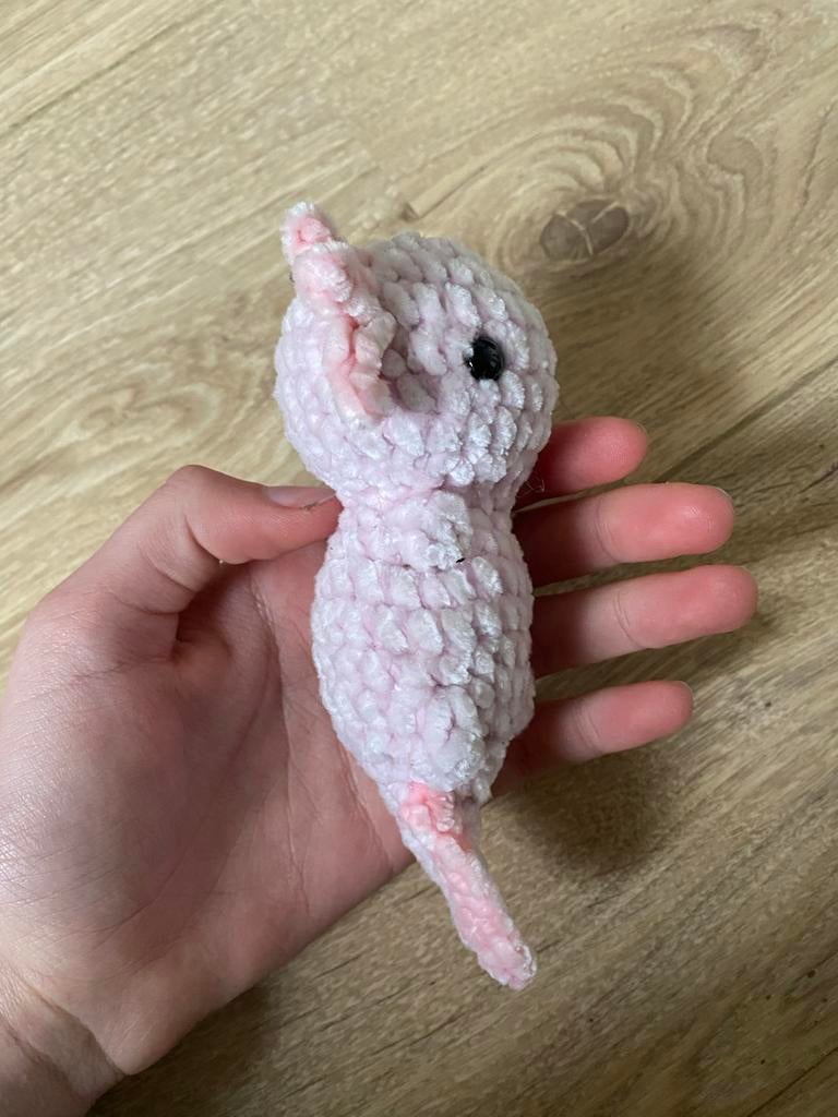 Gehaakte Axolotl - Velvet Garen, Ophalen of Verzenden, Nieuw, Haken, Overige typen