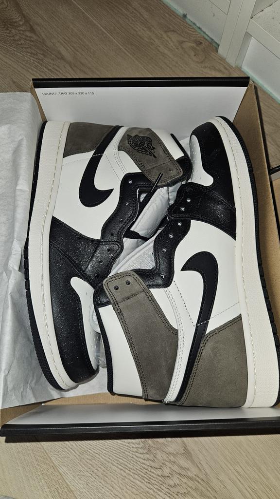 Air Jordan 1 Retro High OG, Ophalen of Verzenden, Nieuw, Overige kleuren