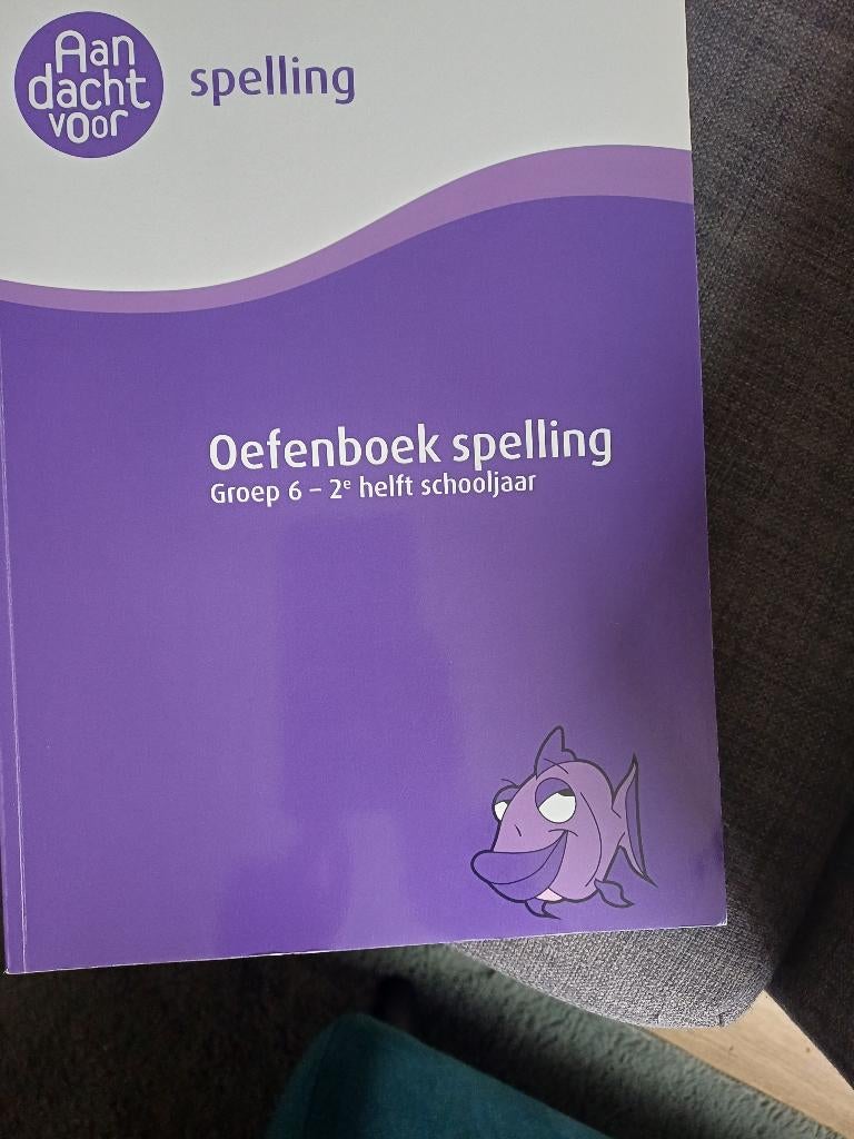 Oefenboek spelling  groep6, Ophalen, Zo goed als nieuw, Overige niveaus, Nederlands