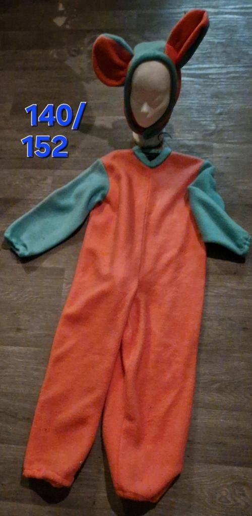 Grappig pak, Ophalen of Verzenden, Gebruikt, 146 t/m 152, Jongen of Meisje