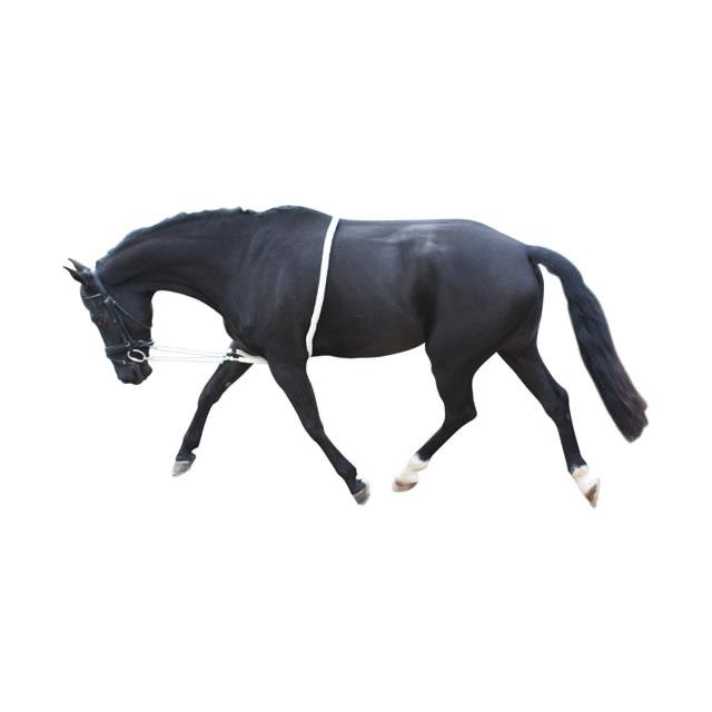 Longeerhulp wit katoen, Dieren en Toebehoren, Paarden en Pony's | Hoofdstellen en Tuigage, Ophalen of Verzenden