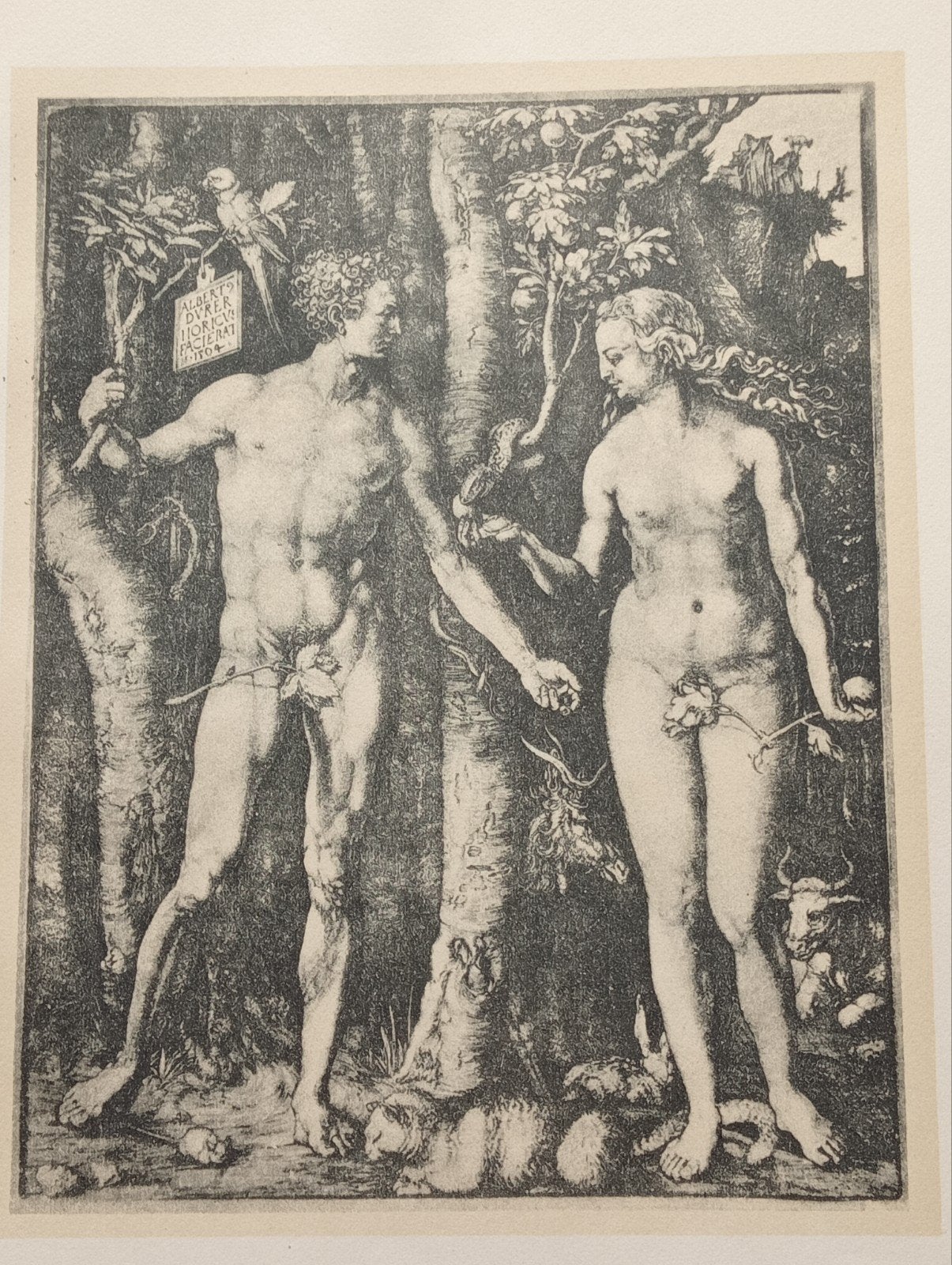 Albrecht Dürer offset prent Adam en Eva, Antiek en Kunst, Ophalen of Verzenden