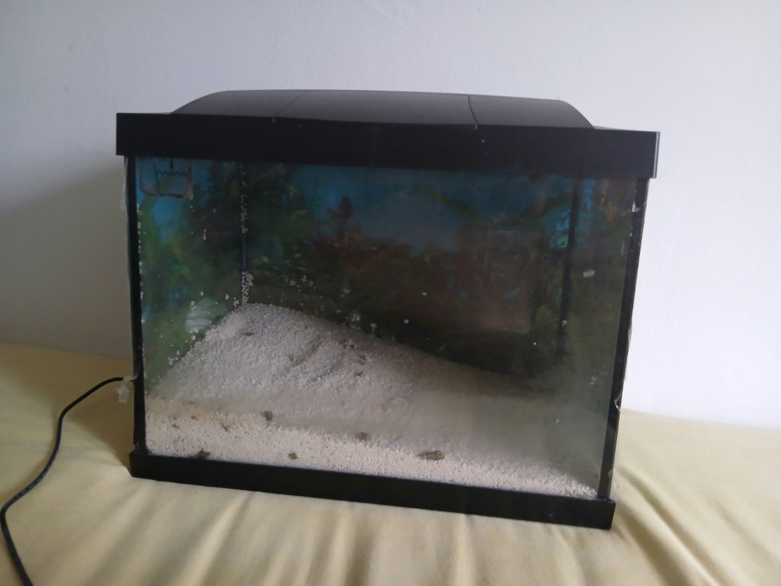 klein aquarium, Ophalen, Inclusief deksel, Gebruikt, Leeg aquarium