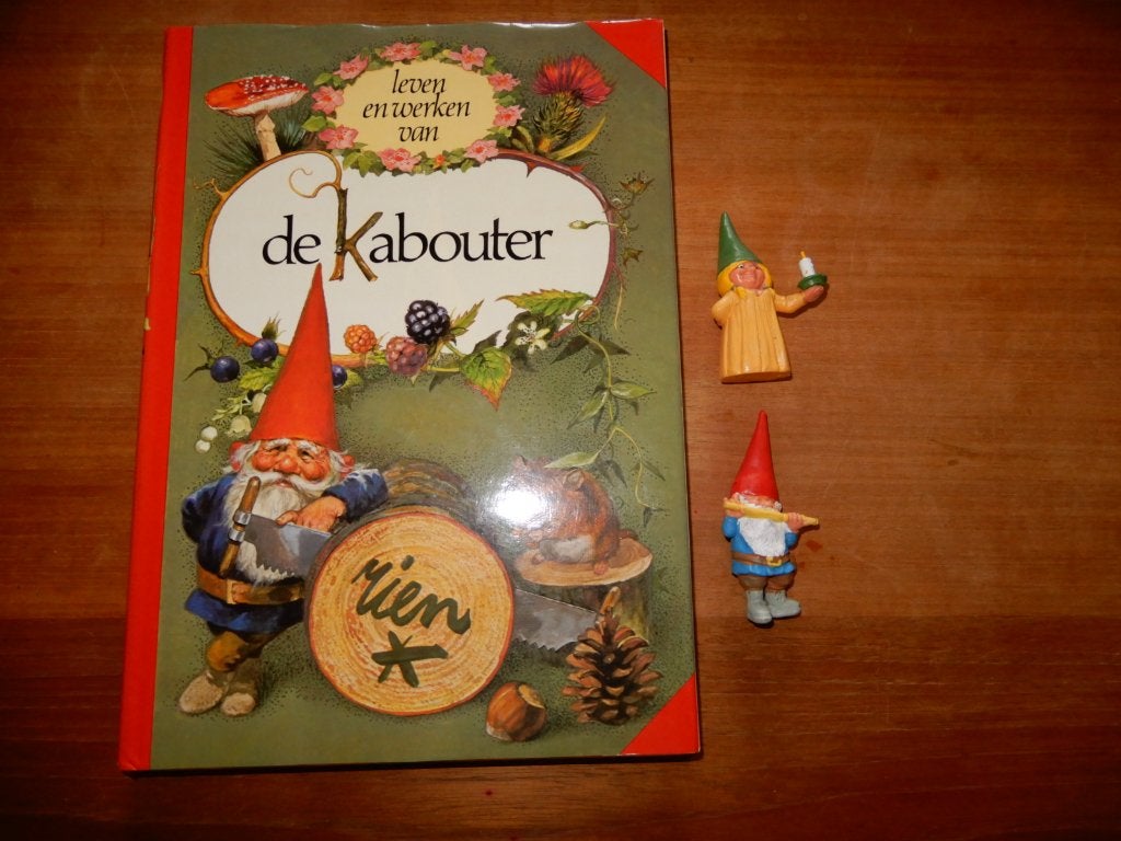 De Kabouter, boek van Rien Poortvliet incl David en Lisa, Boeken, Ophalen of Verzenden, Gelezen, Rien Poortvliet, Prentenboek