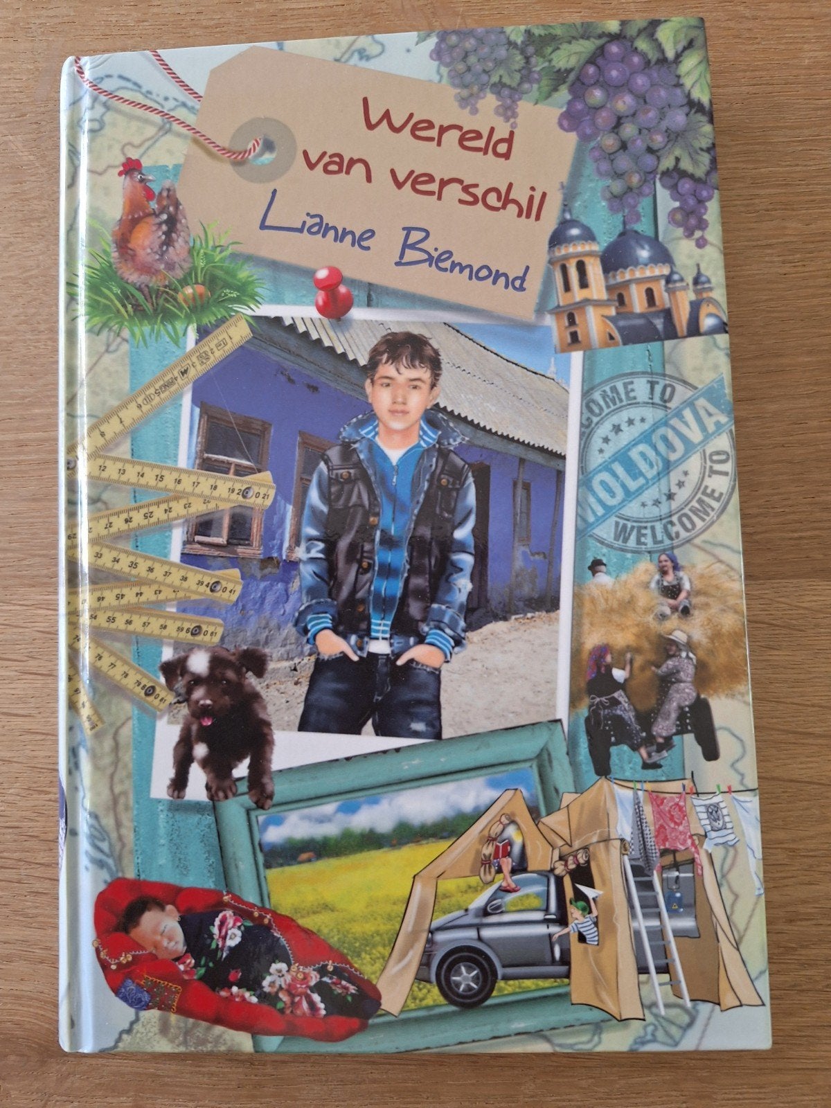 Wereld van verschil - L. Biemond (Jeugdboek), Ophalen of Verzenden, Zo goed als nieuw, Lianne Biemond, Fictie