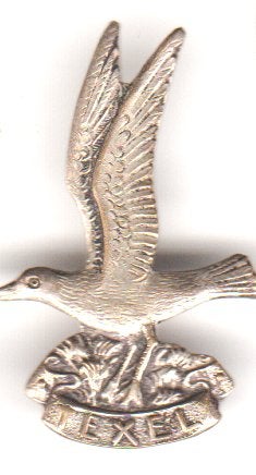 Texel meeuw broche, Verzenden, Zo goed als nieuw