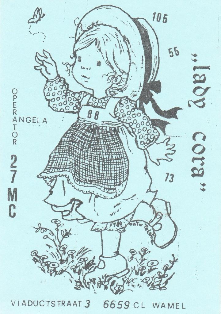 Wamel QSL kaart, Verzamelen, Ophalen of Verzenden, 1980 tot heden, Ongelopen, Overige thema's