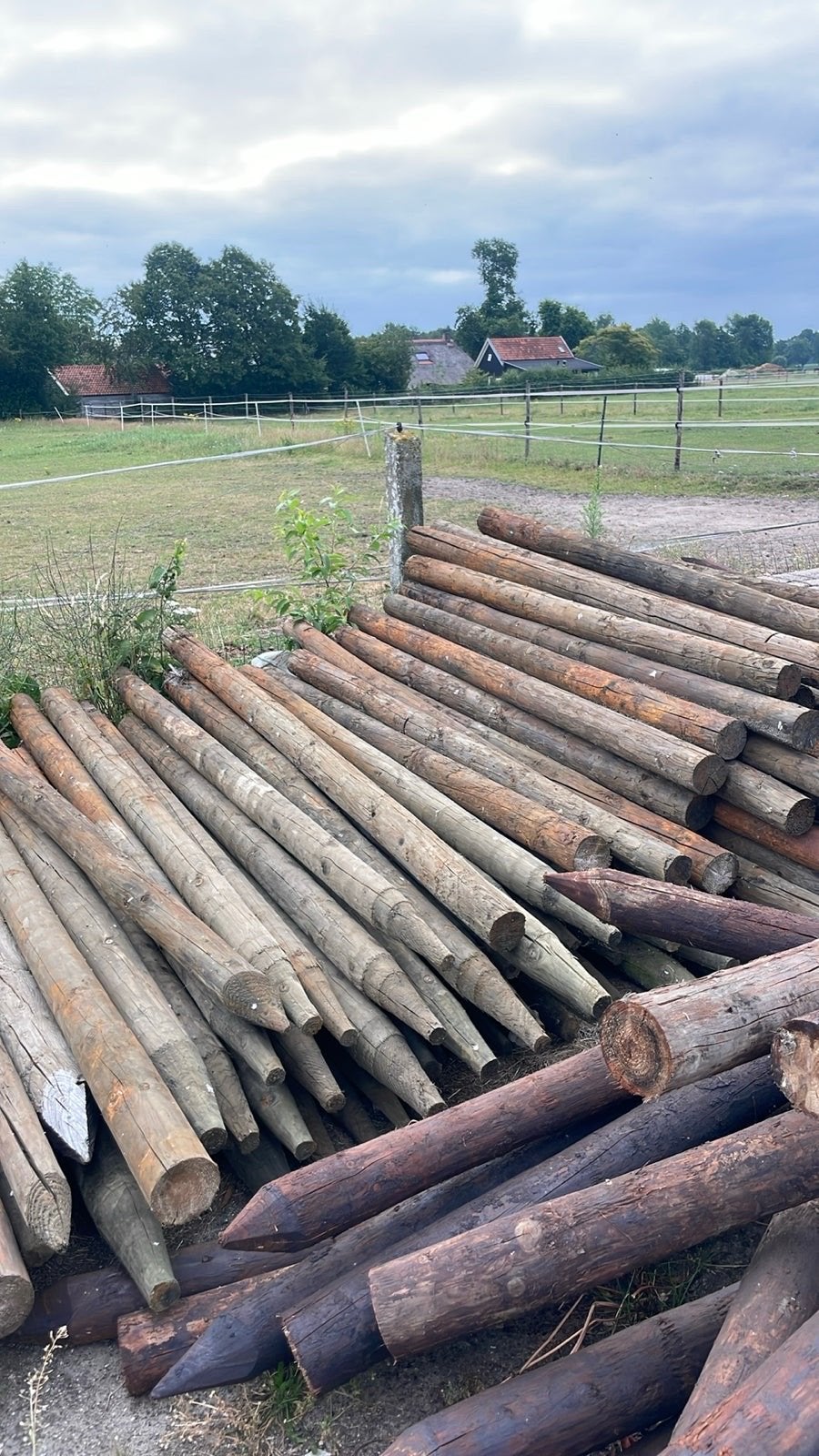 Weidepalen - Houten palen voor afrastering, Tuin en Terras, Ophalen, Gebruikt, Hout, Overige typen