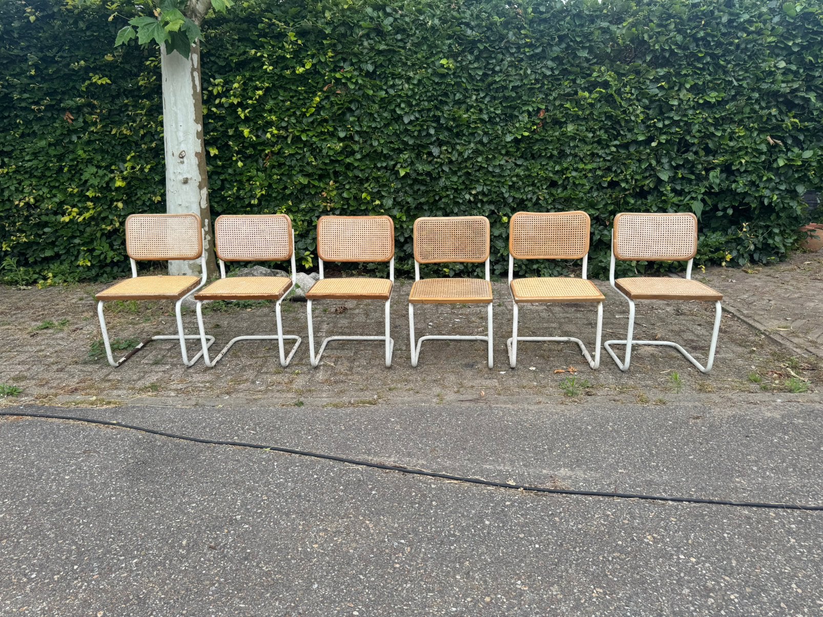 Marcel Breuer Cesca stoelen Thonet vintage set van 6, Ophalen, Gebruikt, Wit