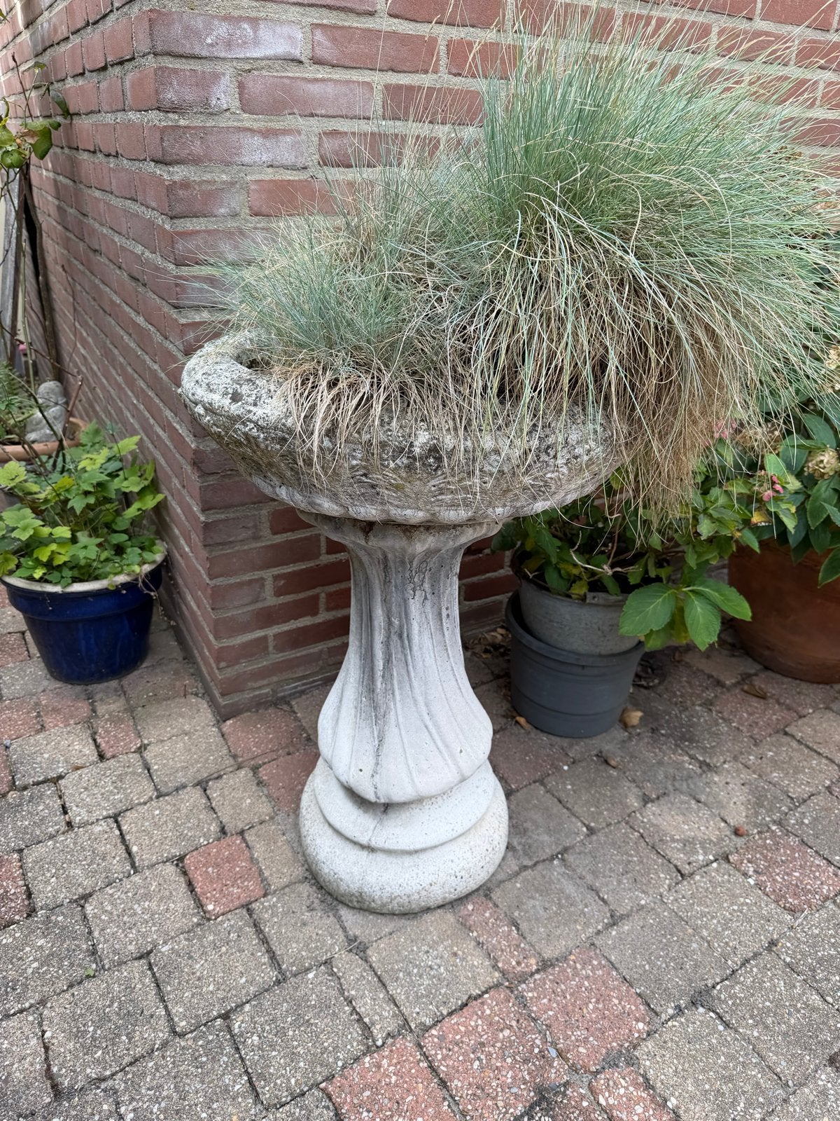 Grote betonnen schaal op voet - 85 cm hoog, Ophalen, Gebruikt, Balkon, 40 cm of meer