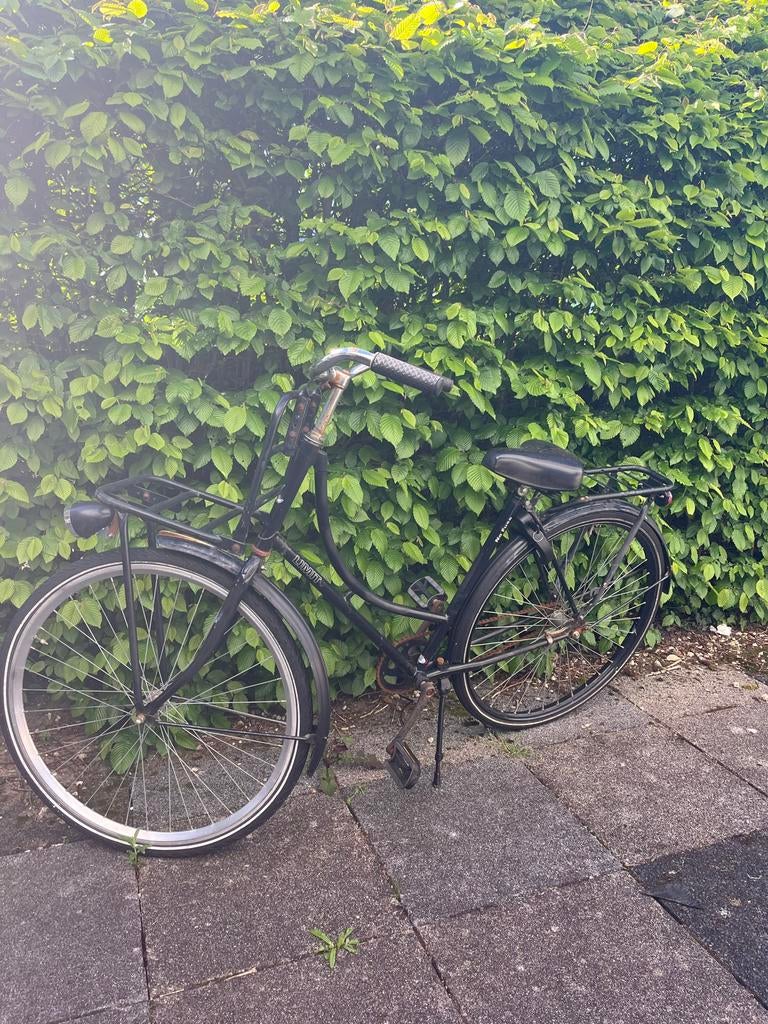 Ophalen in Purmerend: Damesfiets met rekje, Terugtraprem, Ophalen, Overige merken, 53 tot 56 cm