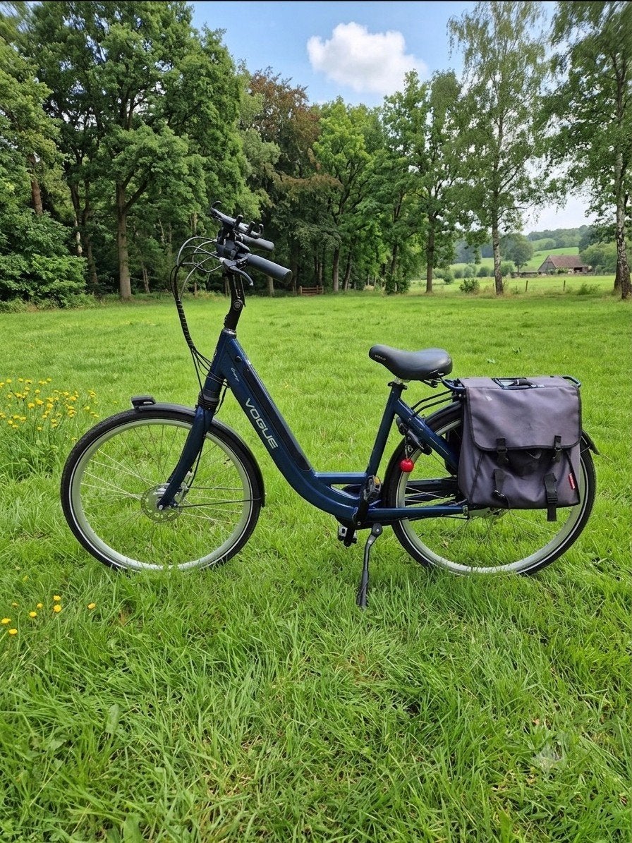 Elektrische fiets te koop, Ophalen, Overige merken