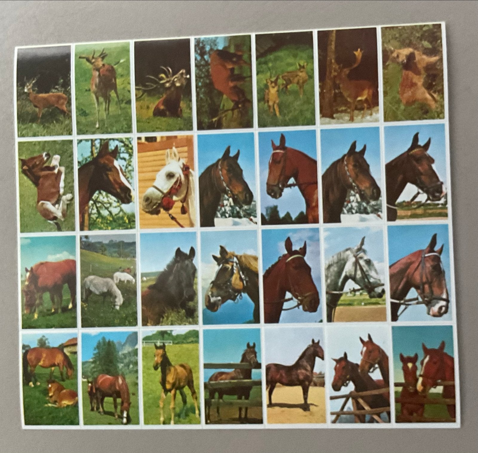 Stammetjes Serie 7 Beloningsstickers Paarden en Herten oud, Ophalen of Verzenden, Nieuw