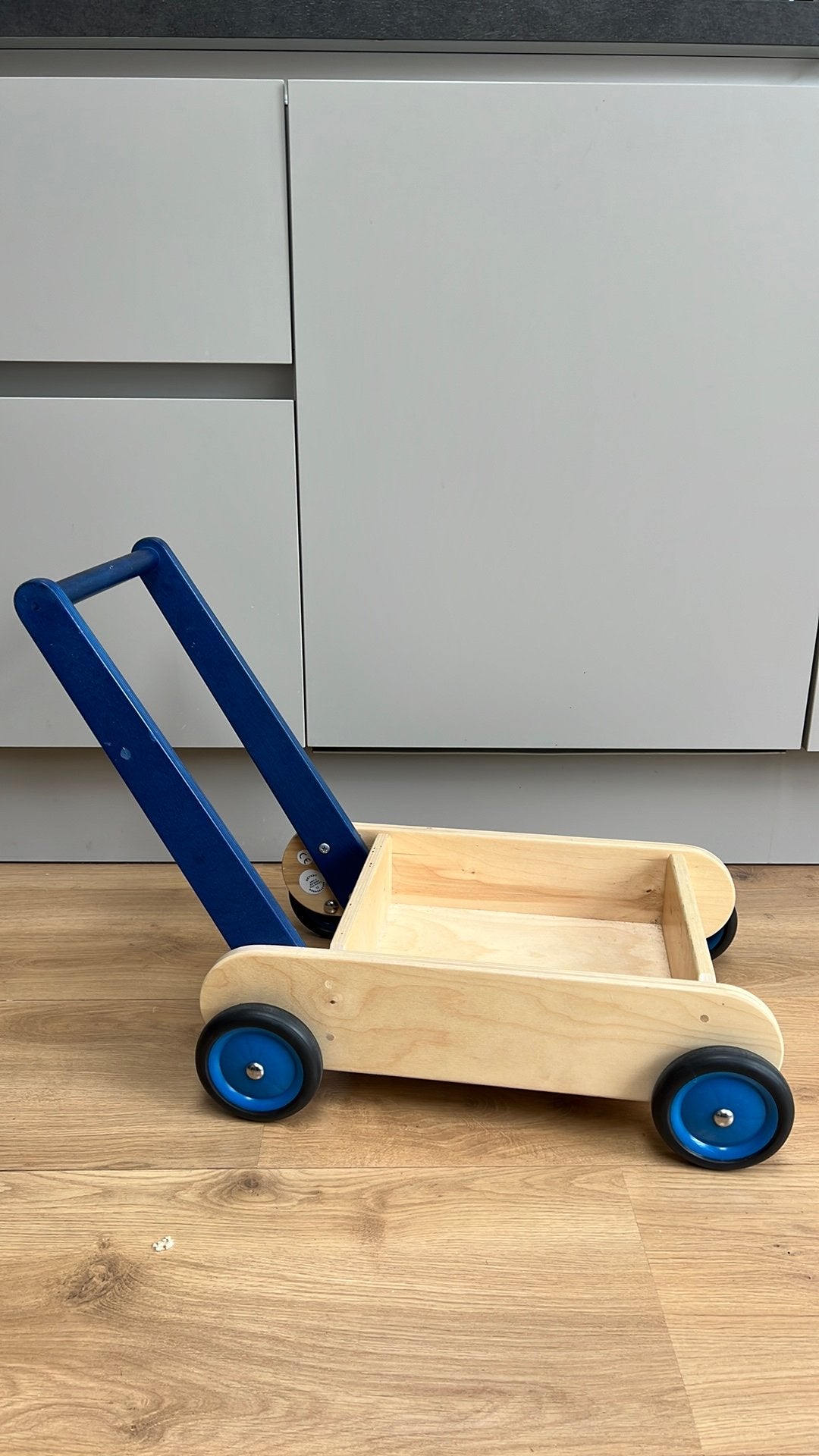 Van Dijk loopwagen blauw, Ophalen of Verzenden, Zo goed als nieuw, Duw- of Trekspeelgoed